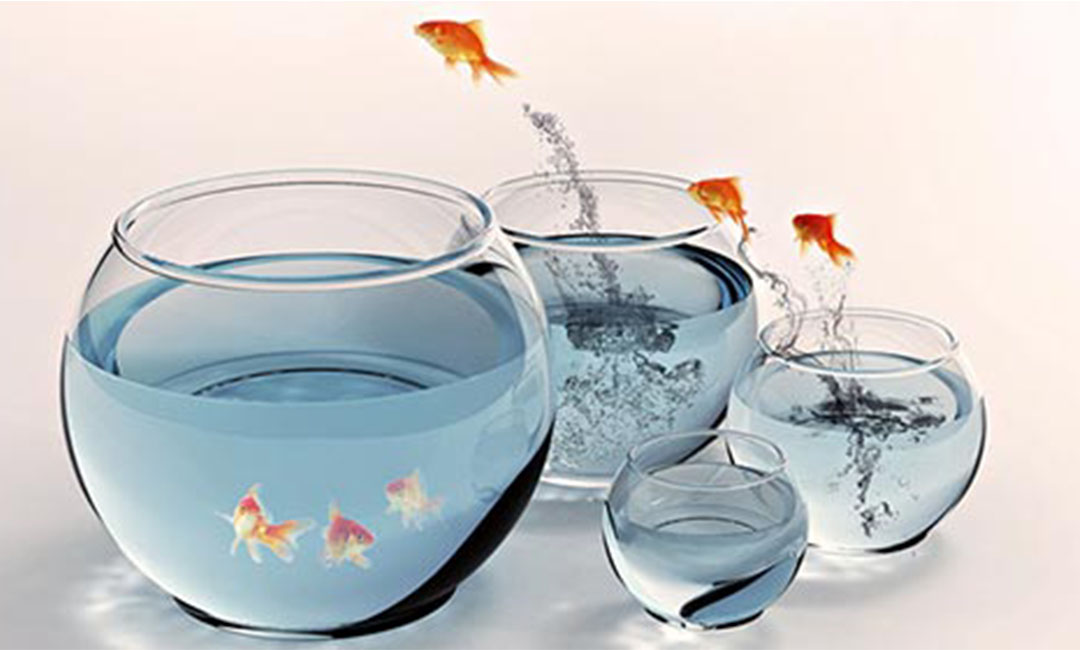 芜湖芜湖六矿真实朋友圈转发案例